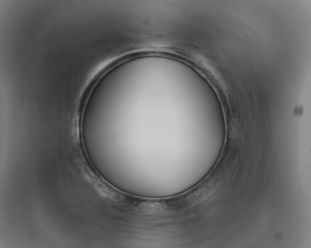 X0000093751320200711061039