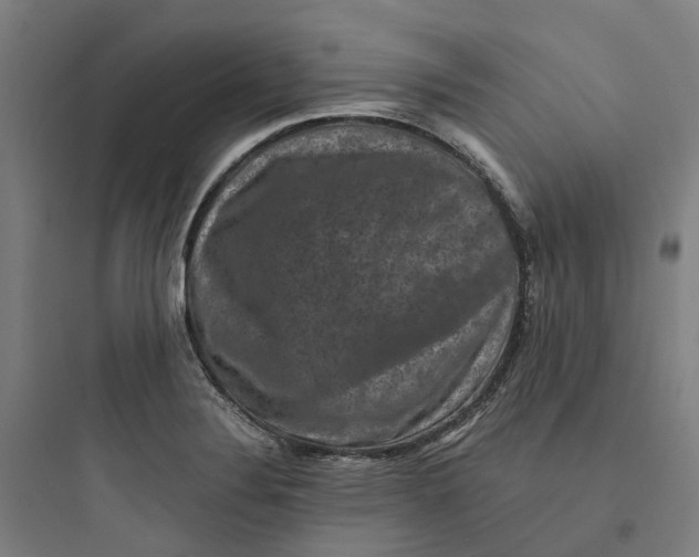 X0000093751324200711061039
