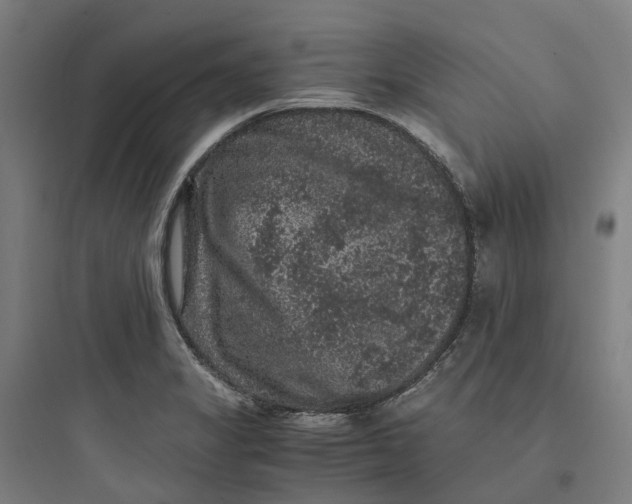 X0000093751325200711061039