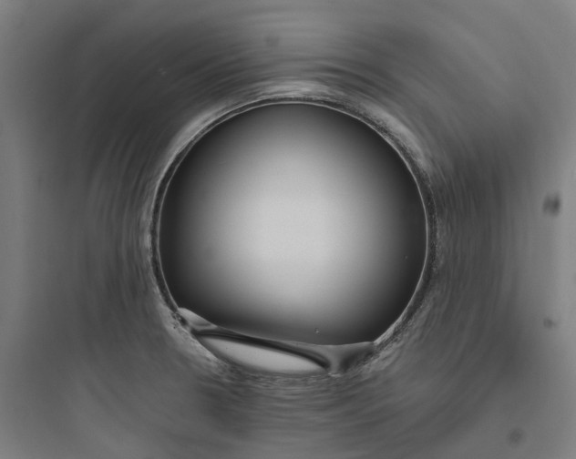 X0000093751330200711061039