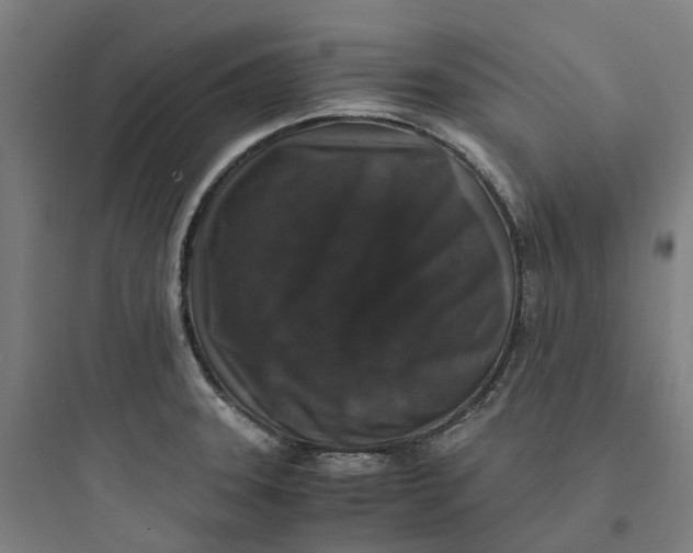 X0000093751331200711061039