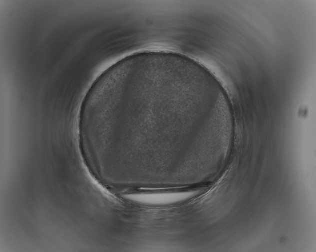 X0000093751335200711061039
