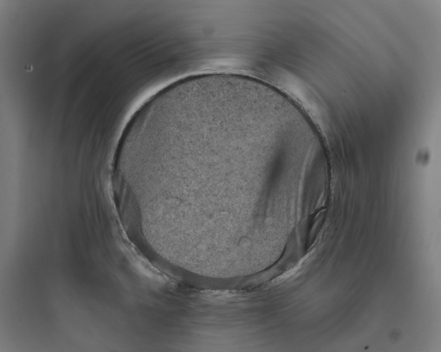X0000093751336200711061039