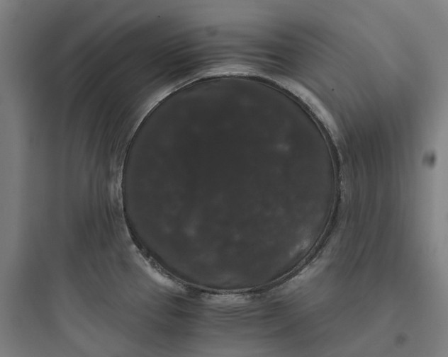 X0000093751337200711061039