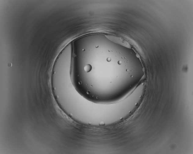 X0000093751338200711061039