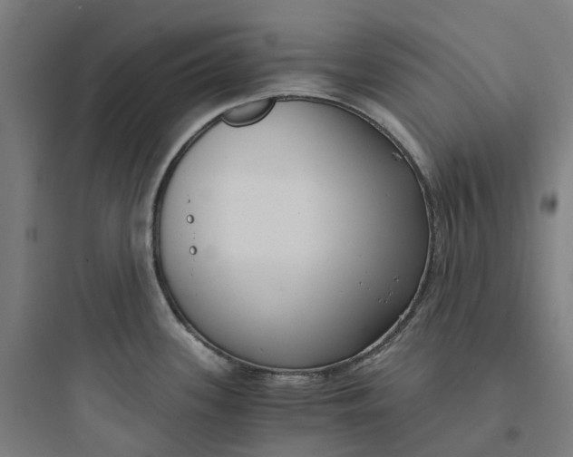 X0000093751339200711061039