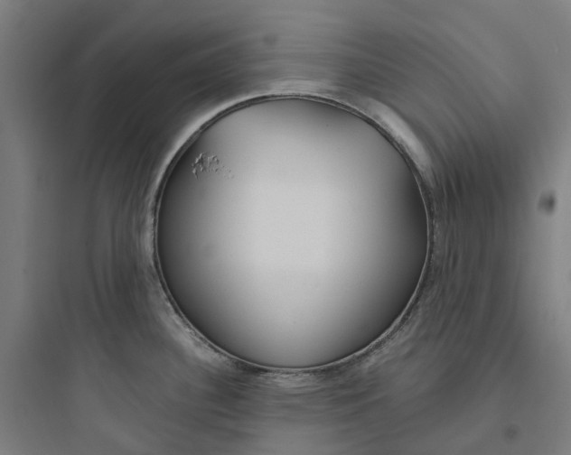 X0000093751340200711061039