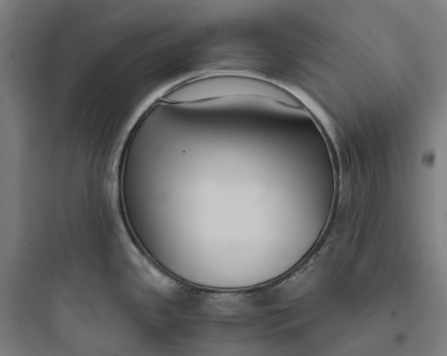 X0000093751341200711061039