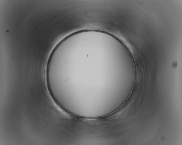 X0000093751343200711061039