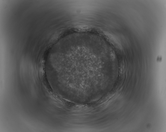 X0000093751346200711061038