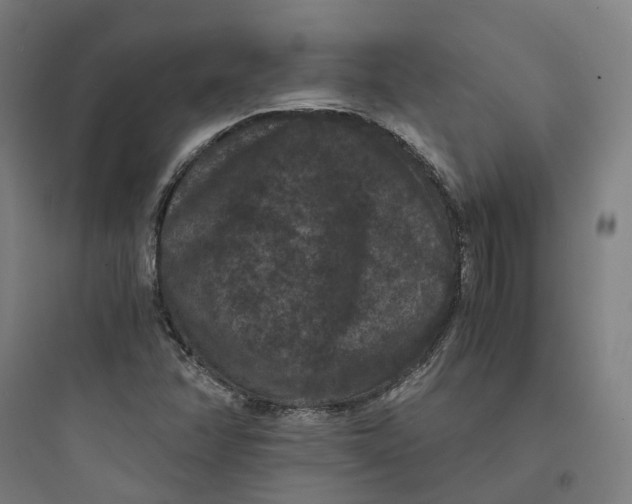 X0000093751358200711061038