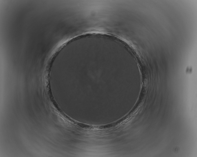 X0000093751359200711061038