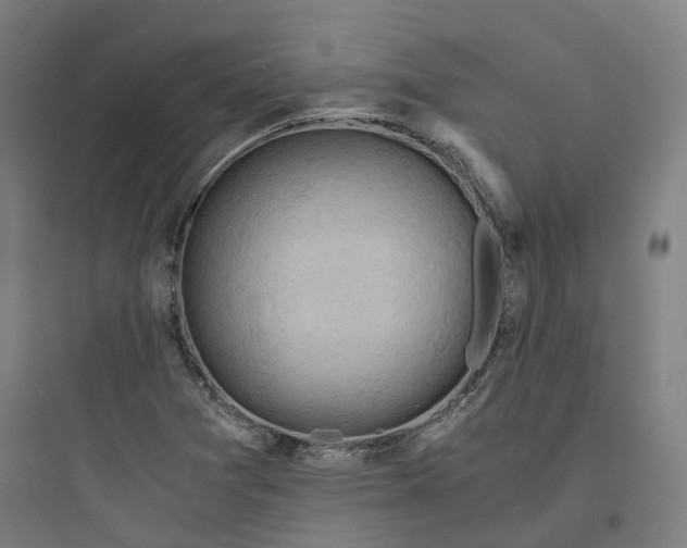 X0000093751361200711061038