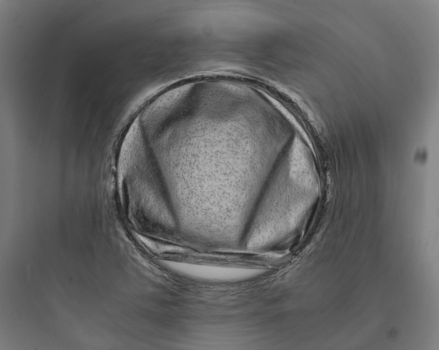 X0000093751363200711061038