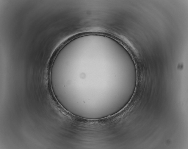 X0000093751364200711061038