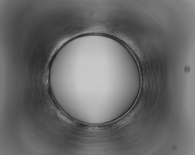 X0000093751366200711061038