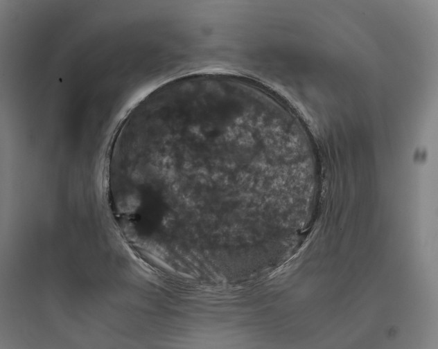 X0000093751367200711061038