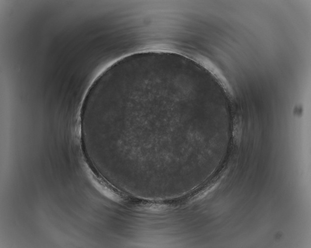 X0000093751372200711061038