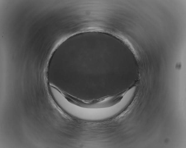 X0000093751373200711061038