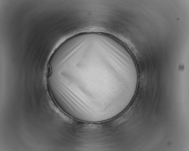 X0000093751374200711061038