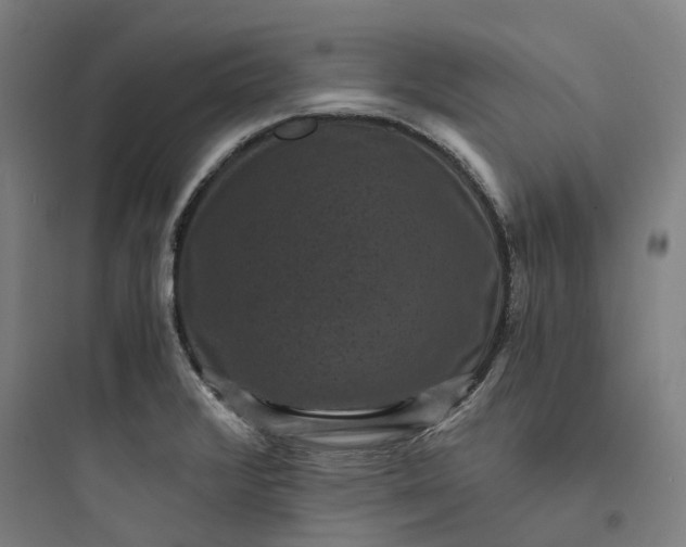 X0000093751376200711061038