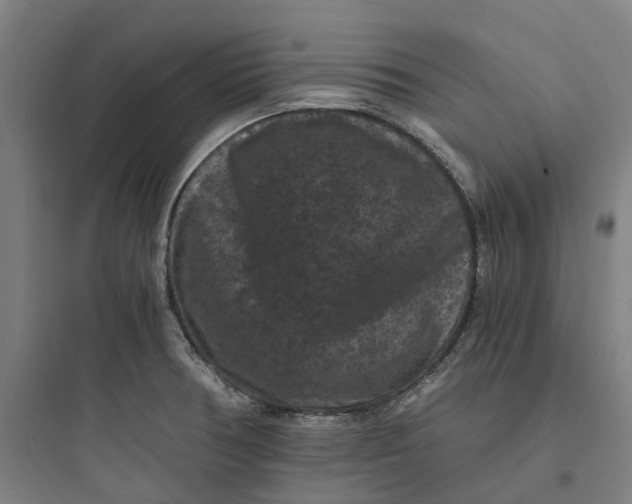 X0000093751378200711061038
