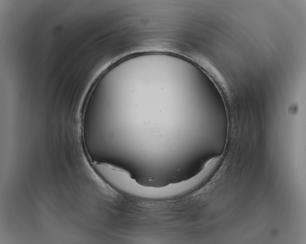 X0000093751380200711061038