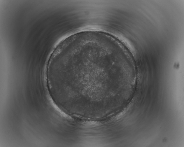 X0000093751382200711061038