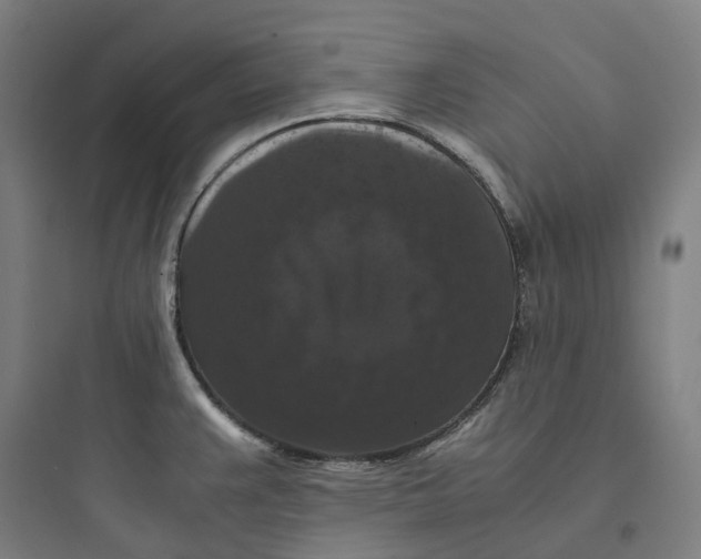 X0000093751383200711061038