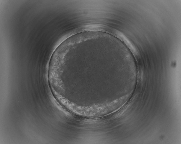X0000093751386200711061038