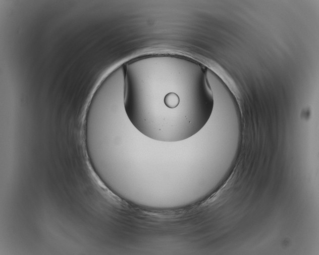 X0000093751388200711061038