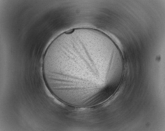 X0000093751390200711061038