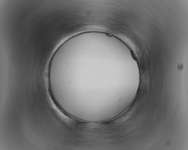 X0000093751391200711061038