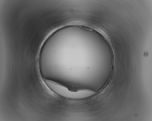 X0000093751392200711061038