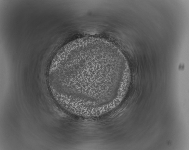X0000093751393200711061037