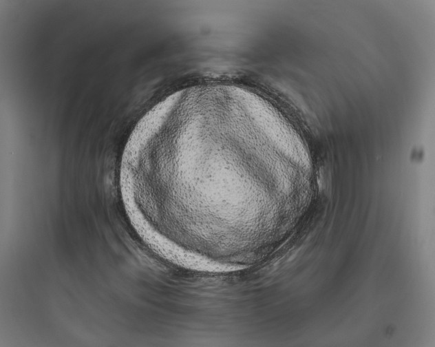 X0000093751396200711061037