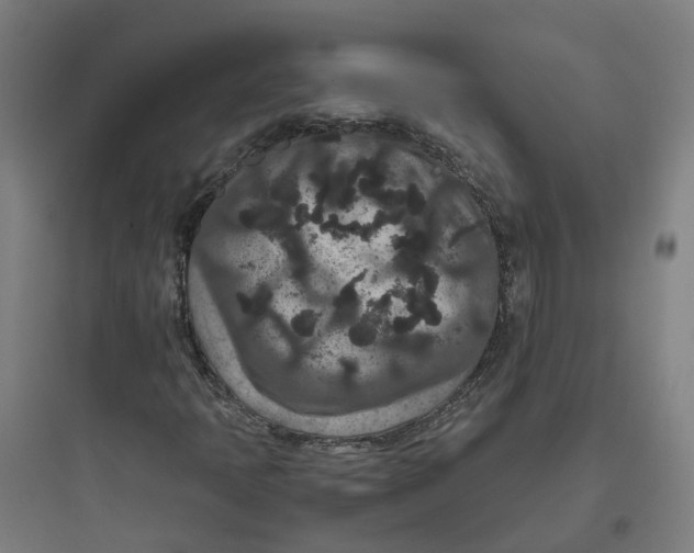 X0000093751397200711061037