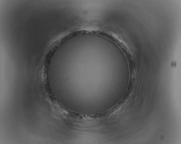 X0000093751398200711061037