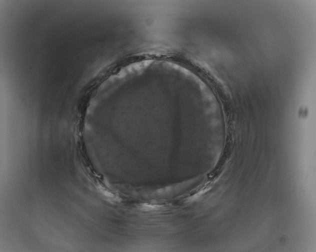 X0000093751399200711061037