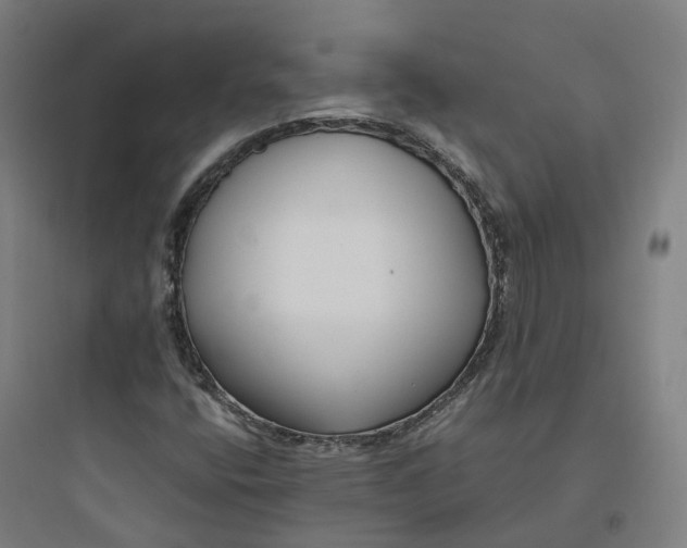 X0000093751400200711061037