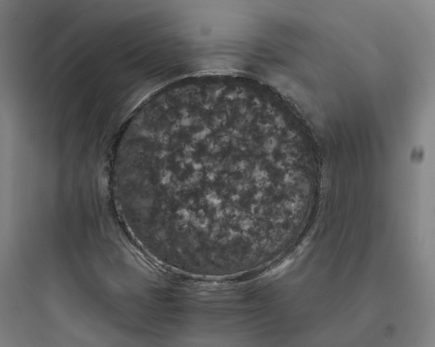 X0000093751401200711061037