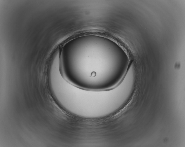 X0000093751402200711061037
