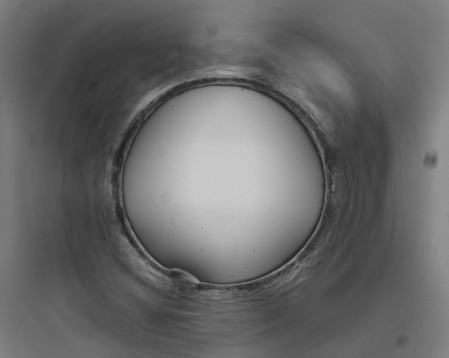 X0000093751404200711061037