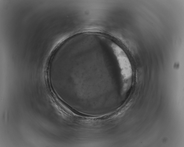 X0000093751405200711061037