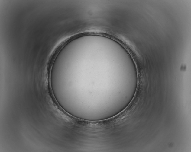 X0000093751408200711061037