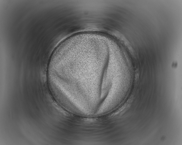 X0000093751409200711061037