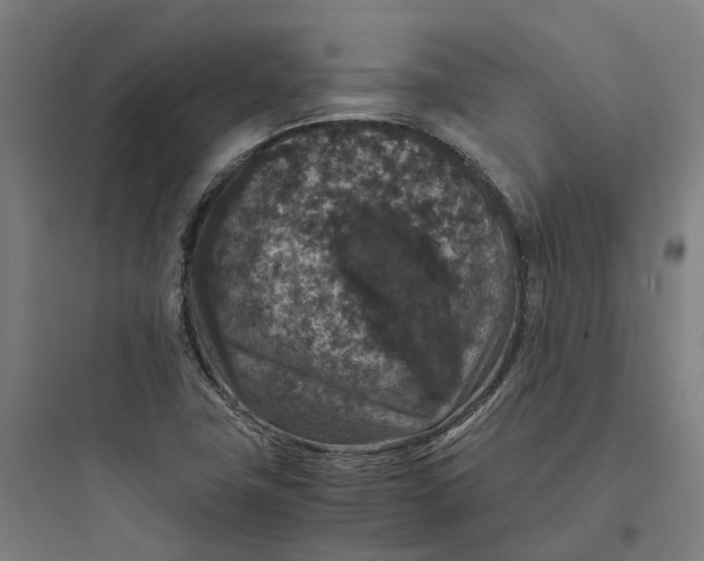 X0000093751411200711061037