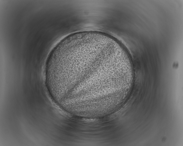 X0000093751415200711061037