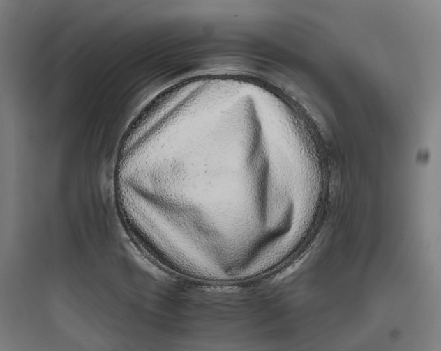 X0000093751417200711061037