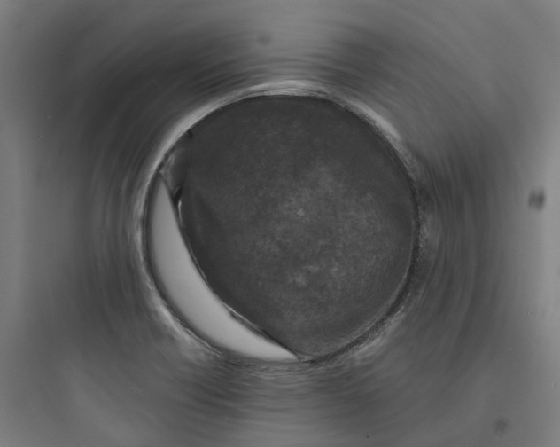 X0000093751418200711061037